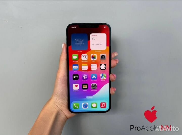 iPhone 12 Pro Max, 256 ГБ