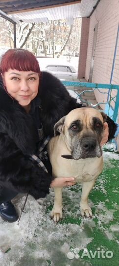 Администратор