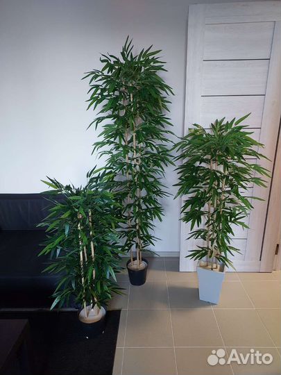 Искусственное дерево бамбук