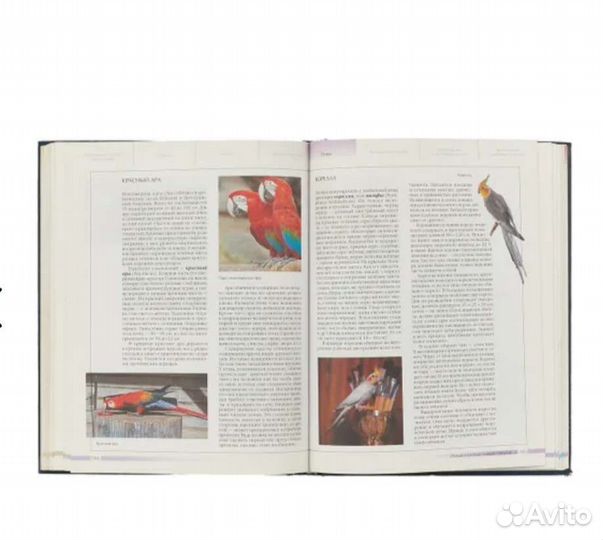 Энциклопедия домашних животных