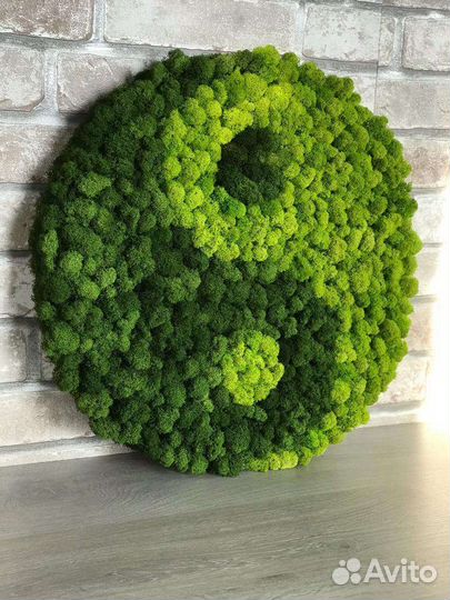 Мох стабилизированный оптом и в розницу