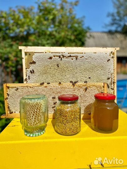 Мёд урожай 2023, со свойе пасеки