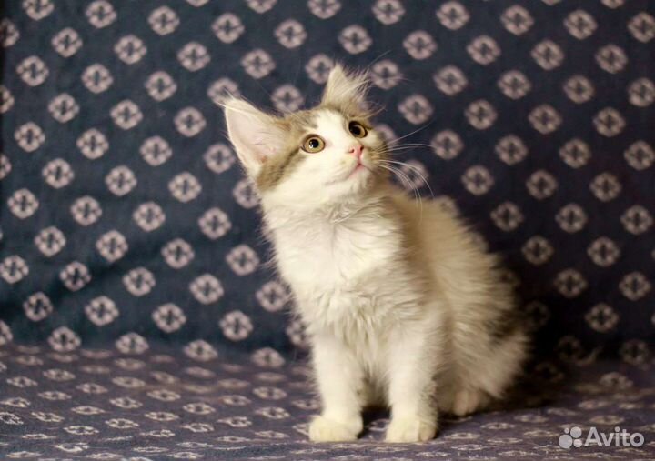 Фенечка на счастье