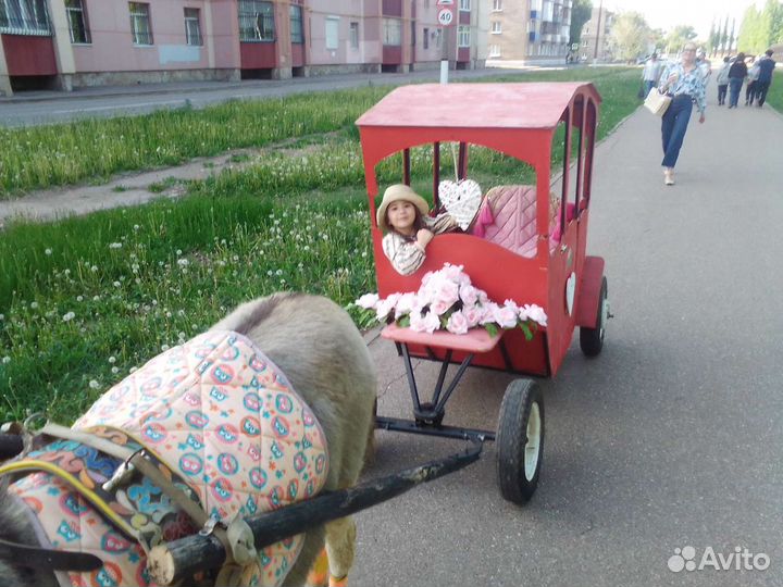 Тележка экипаж сани для пони двуколка