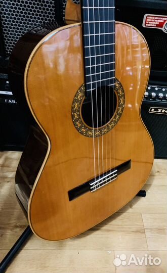 Классическая Испанская Гитара Esteve (массив)
