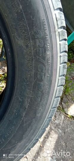 Michelin Agilis 101 225/65 R17