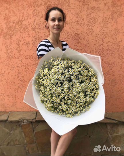 Ромашки Букет из ромашек доставка