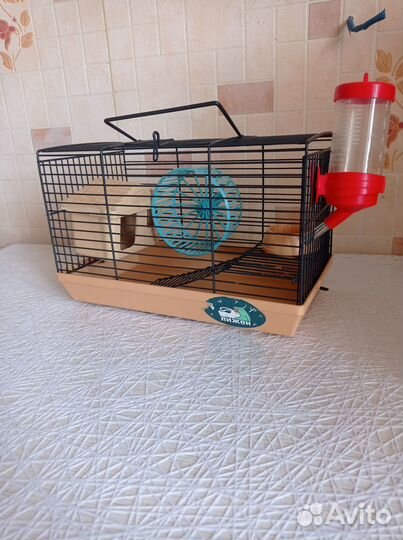 Колесо для грызунов