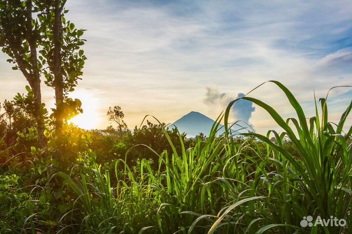 Экскурсия — Бали — Обзорная экскурсия по Бали