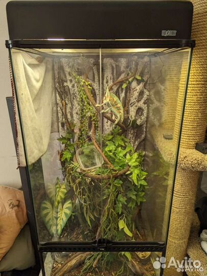 Террариум Exo Terra 45x45x90