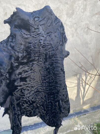 Шкура каракуль