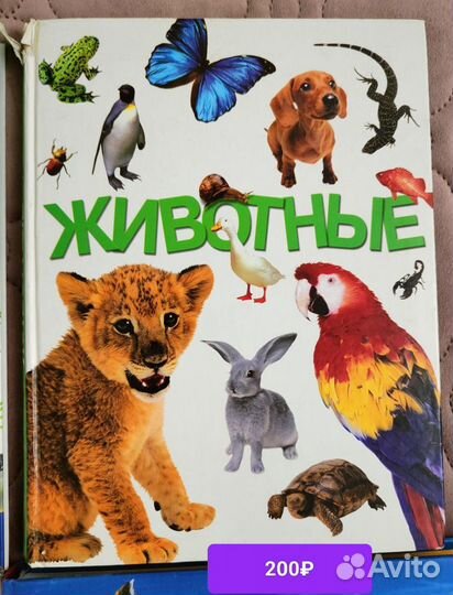 Детская энциклопедия, книга