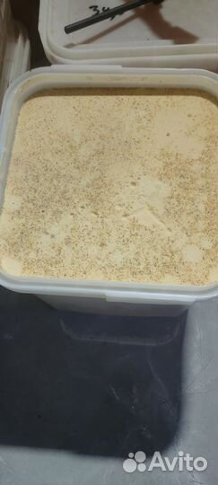 Мед подсолнечный оптом