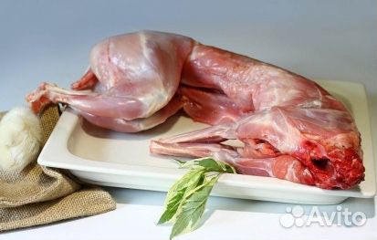 Мясо кролика