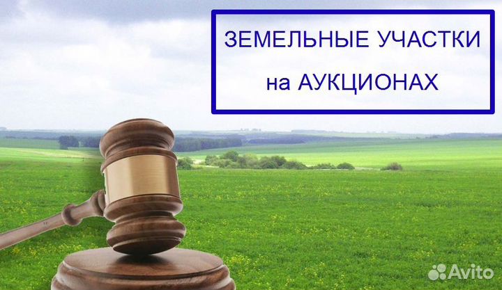 Покупка земельных участков на аукционах