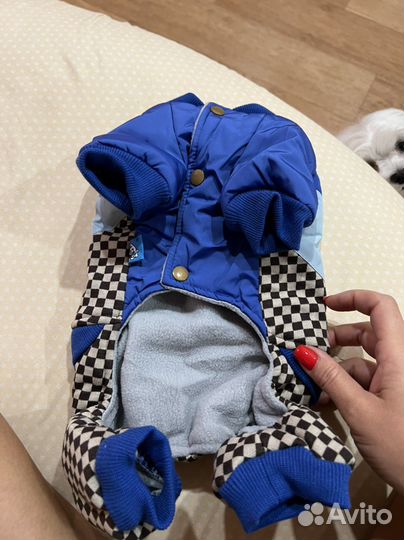 Продам комбез для собаки