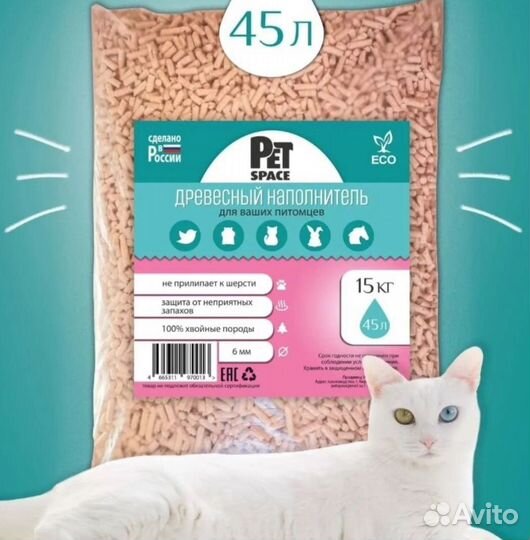 Графический дизайн