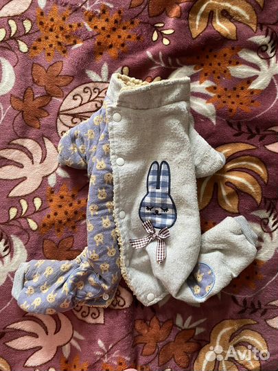 Одежда для собак