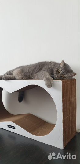 Когтеточка для кошек