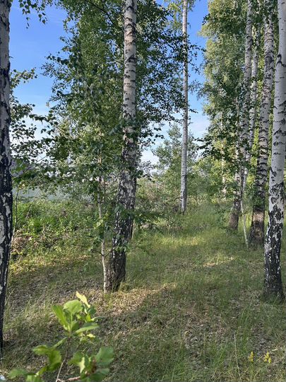 Участок 15 сот. (ИЖС)