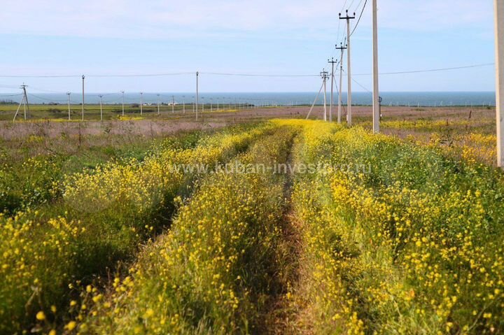 Участок 6 сот. (ИЖС)