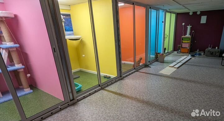 Зоогостиница для кошек Уфа Чесноковка