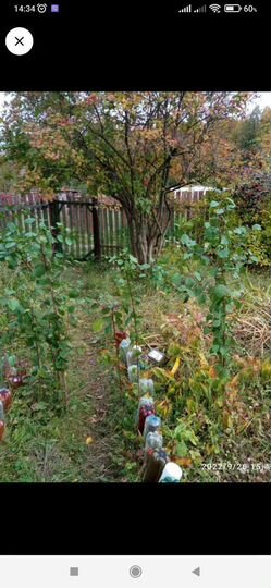 Дом 12 м² на участке 6,1 сот.