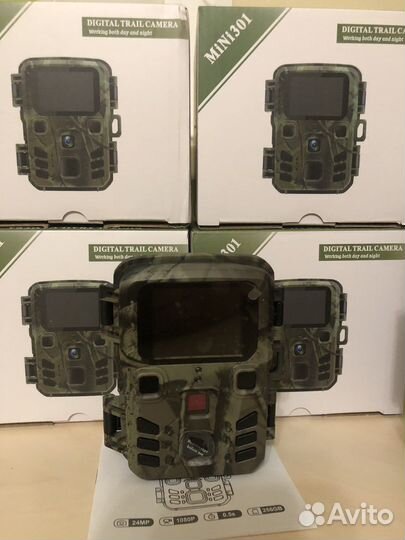 Фотоловушка