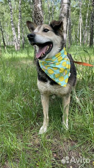 Сэм ждёт именно тебя