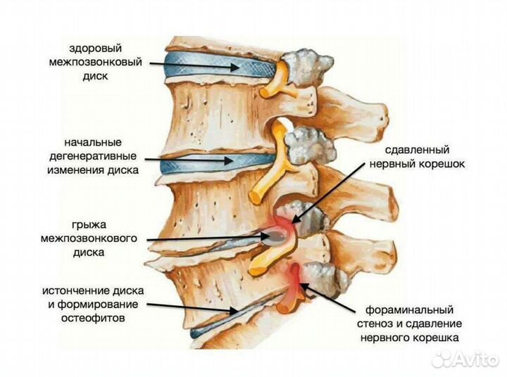 Красота и здоровье