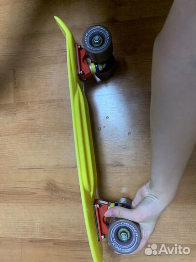 Пениборд желто-фиолетовый