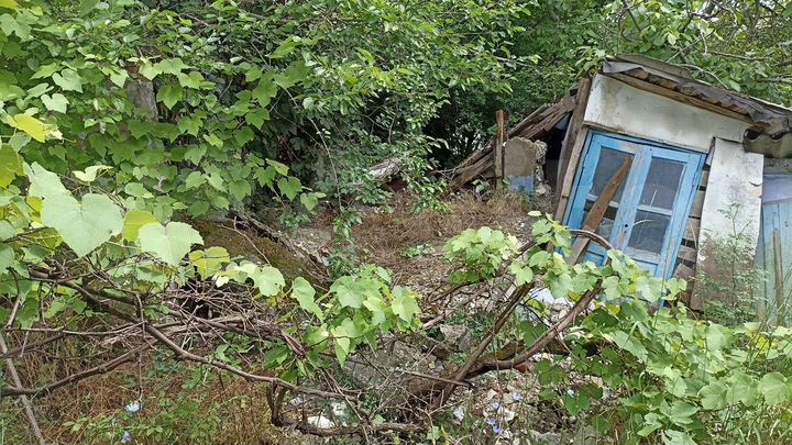 Участок 9,5 сот. (ИЖС)