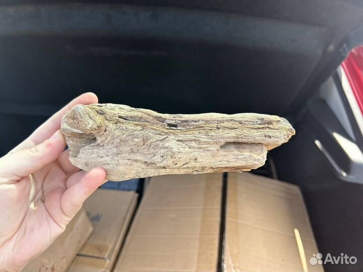 Коряга для декора дрифтвуда