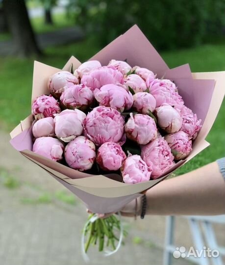 Пионы от производителя. Доставка в срок 24/7