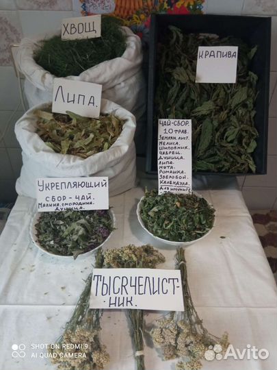 Лекарственные травы, сушёные