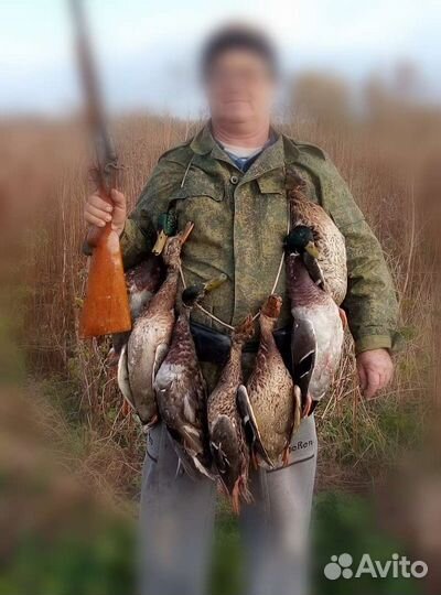Подсадные утки