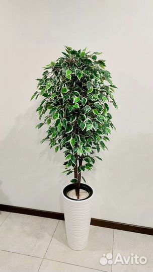 Искусственное дерево растение фикус Бенджамина