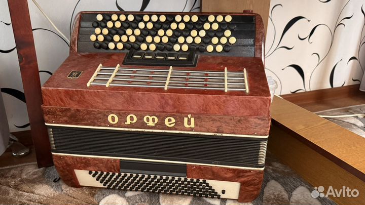 Баян пятирядный орфей