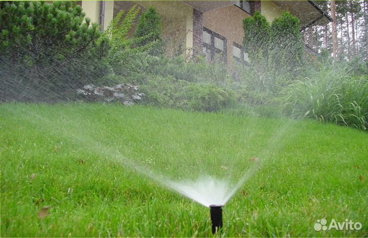 Семена газонной травы