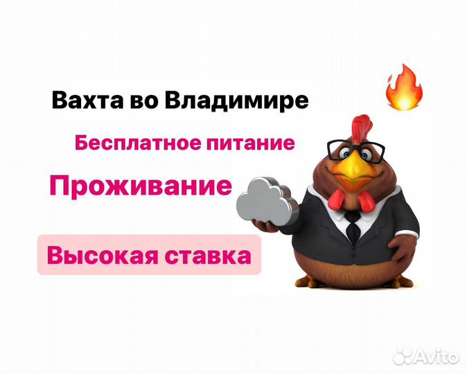 Разнорабочие вахтой.Купим билет