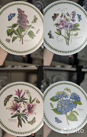 Плэйсматы portmeirion botanic garden