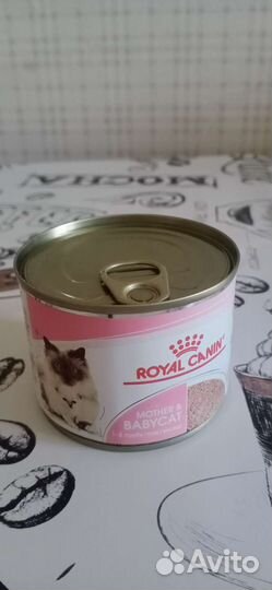 Мусс для котят 1-4мес. Royal Canin