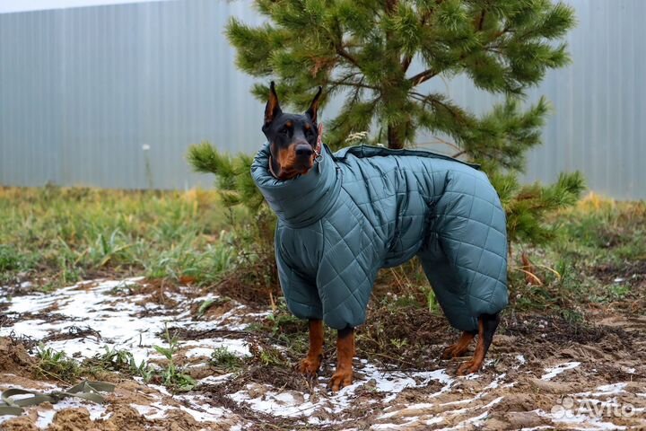 Зимний комбинезон для крупной собаки