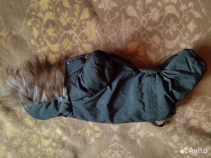 Одежда для маленьких собак бу