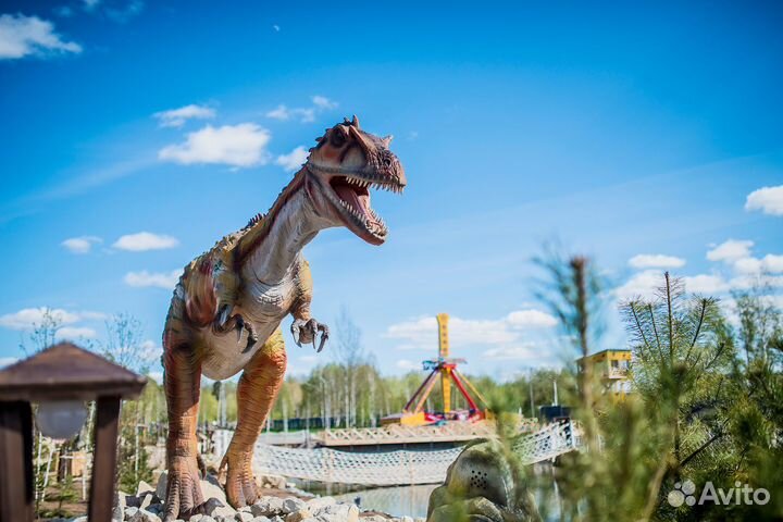 5.авг.23 В гостях у Кикиморы вятской /цо3004