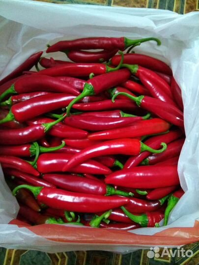 Перец острый свежий
