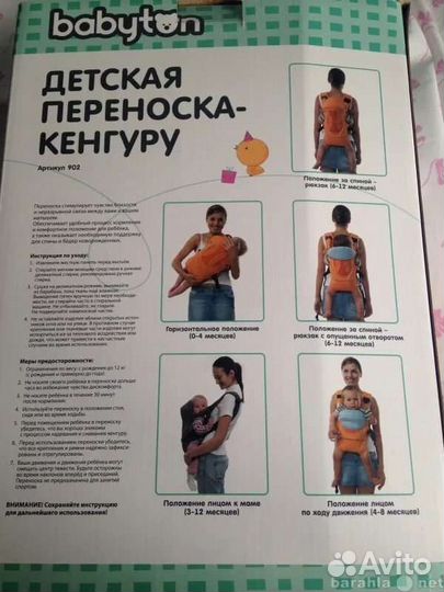 Кенгуру