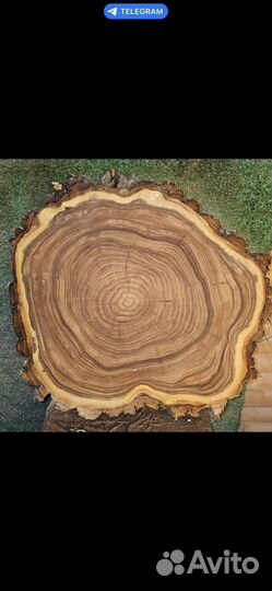 Спил слэб карагач