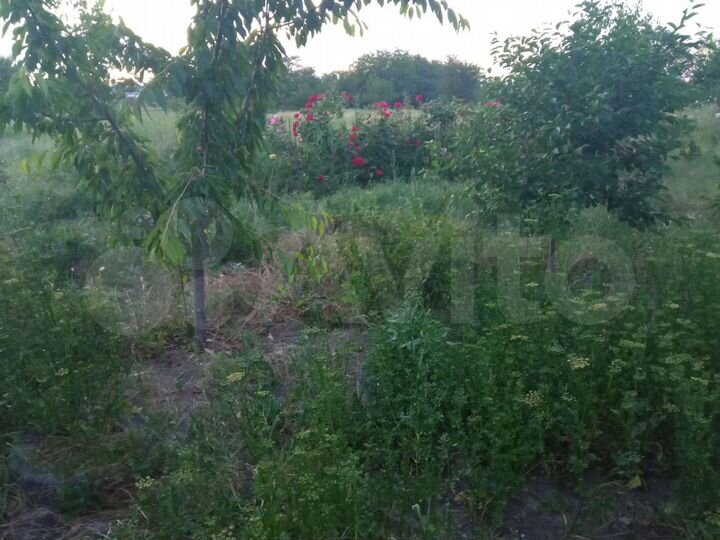 Участок 20 сот. (ИЖС)