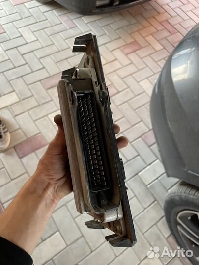 Мозги январь 5.1